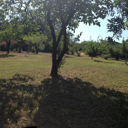 Secluded 1.8 Acre Garden Villa, For Exclusive Use With Stunning Views. Kalandra 外观 照片